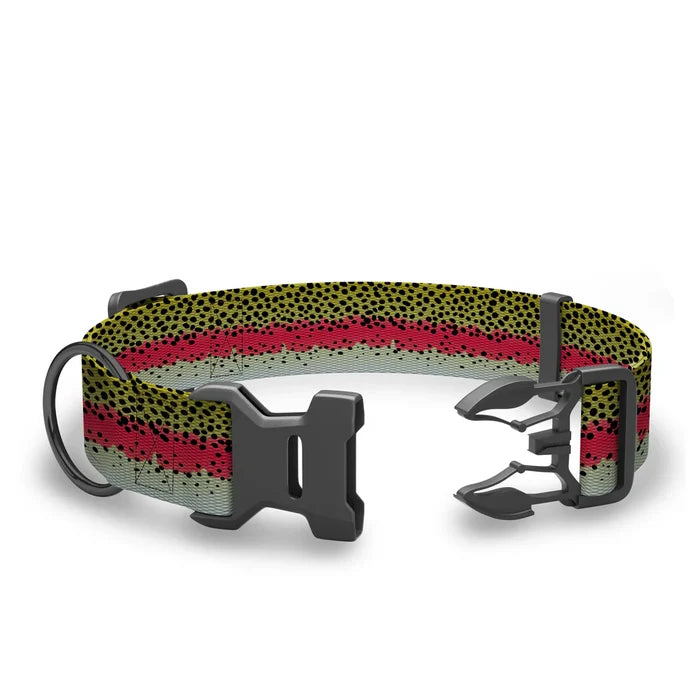Wingo - Coosa Dog Collar - Rainbow Trout - Small