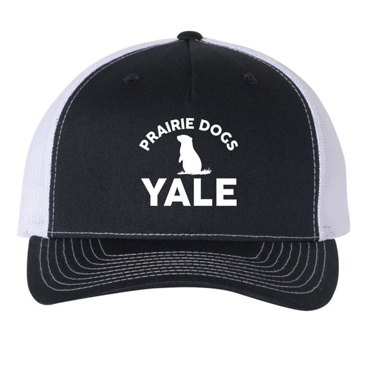 Yale Elementary Five Panel Hat- Matte or Glitter